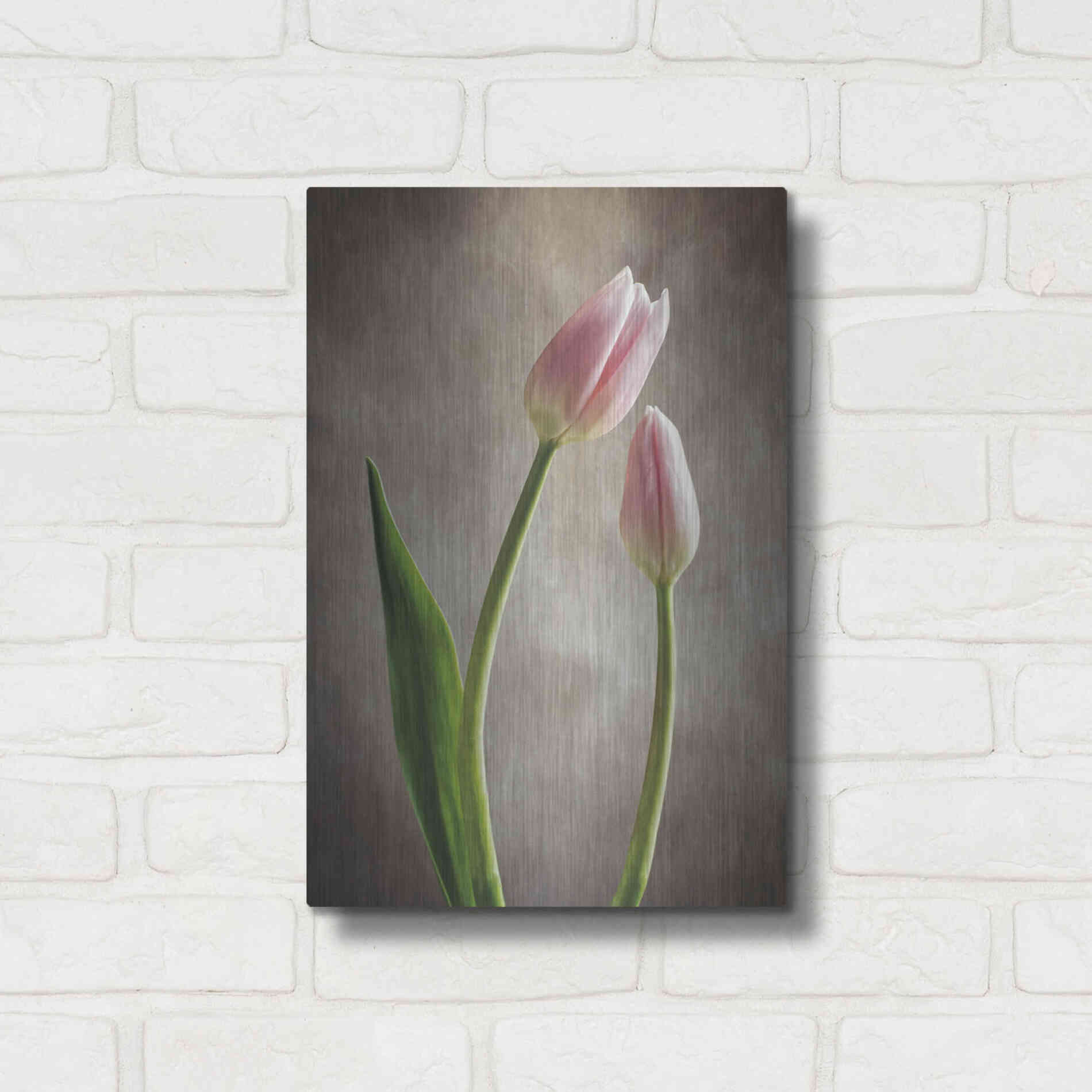 Luxe Metal Art 'Spring Tulips III' by Debra Van Swearingen, Metal Wall Art,12x16