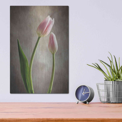 Luxe Metal Art 'Spring Tulips III' by Debra Van Swearingen, Metal Wall Art,12x16