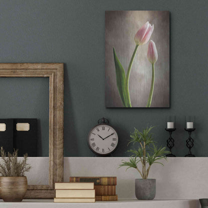 Luxe Metal Art 'Spring Tulips III' by Debra Van Swearingen, Metal Wall Art,12x16