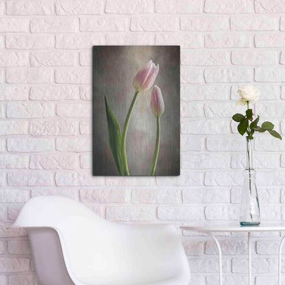 Luxe Metal Art 'Spring Tulips III' by Debra Van Swearingen, Metal Wall Art,16x24