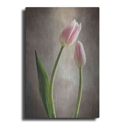 Luxe Metal Art 'Spring Tulips III' by Debra Van Swearingen, Metal Wall Art