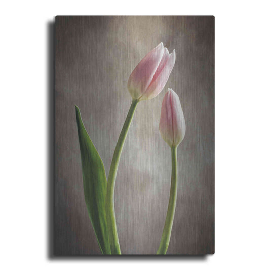 Luxe Metal Art 'Spring Tulips III' by Debra Van Swearingen, Metal Wall Art