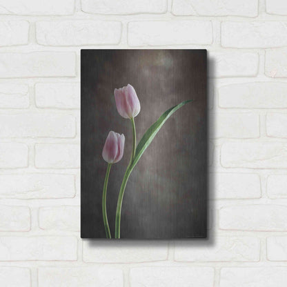 Luxe Metal Art 'Spring Tulips IV' by Debra Van Swearingen, Metal Wall Art,12x16