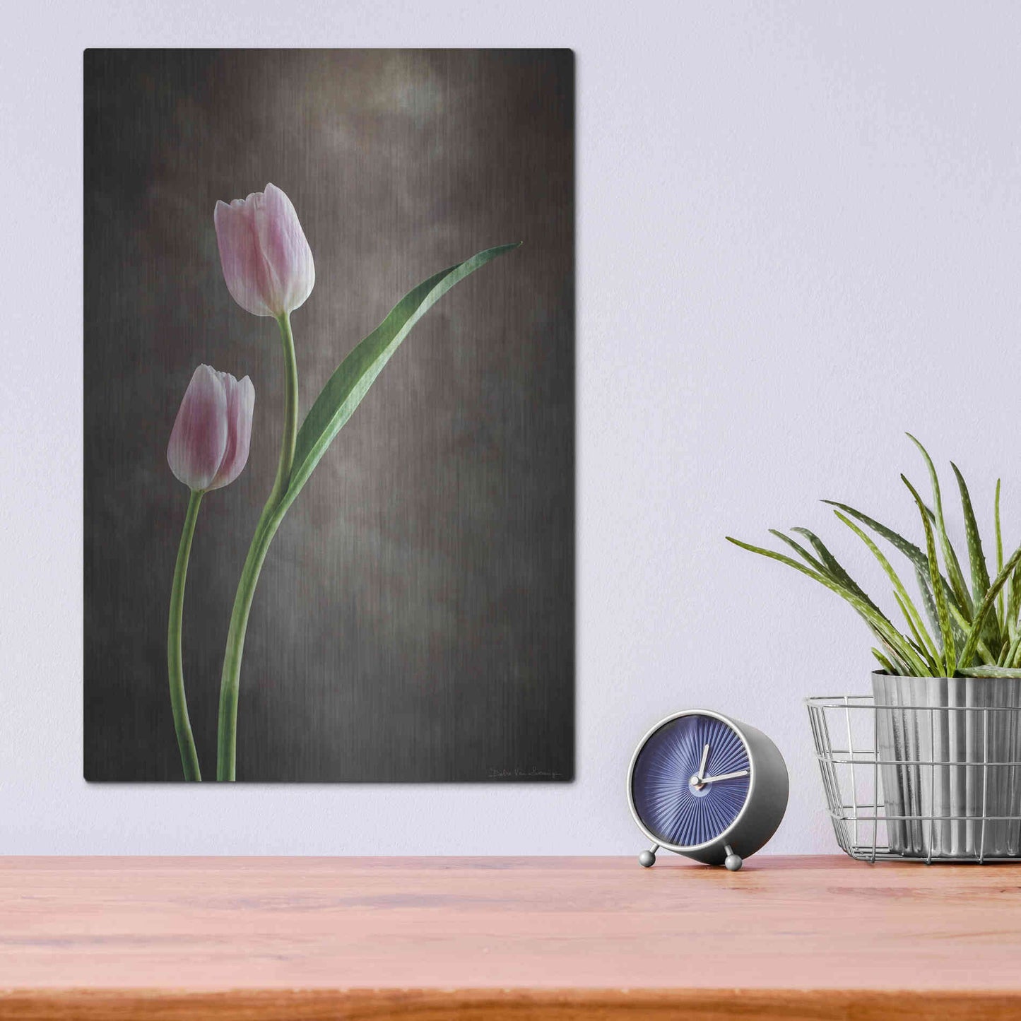 Luxe Metal Art 'Spring Tulips IV' by Debra Van Swearingen, Metal Wall Art,12x16