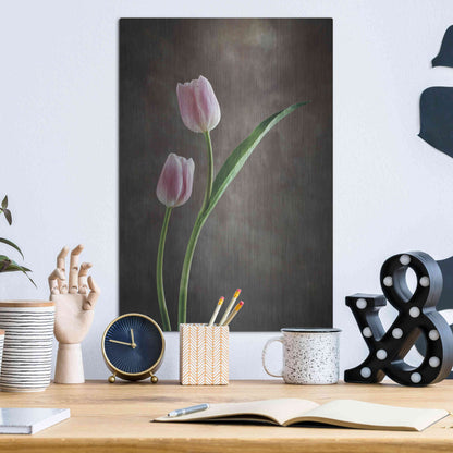 Luxe Metal Art 'Spring Tulips IV' by Debra Van Swearingen, Metal Wall Art,12x16