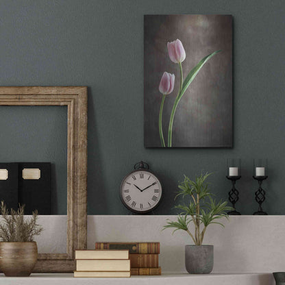 Luxe Metal Art 'Spring Tulips IV' by Debra Van Swearingen, Metal Wall Art,12x16