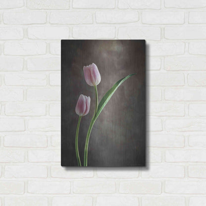 Luxe Metal Art 'Spring Tulips IV' by Debra Van Swearingen, Metal Wall Art,16x24