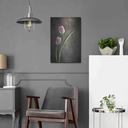 Luxe Metal Art 'Spring Tulips IV' by Debra Van Swearingen, Metal Wall Art,16x24