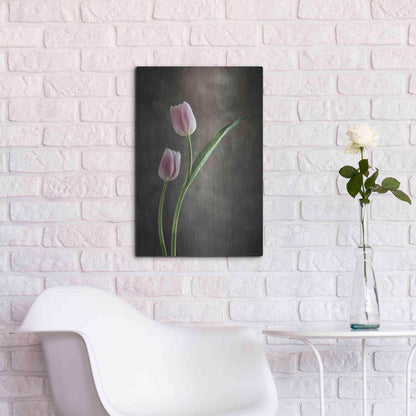 Luxe Metal Art 'Spring Tulips IV' by Debra Van Swearingen, Metal Wall Art,16x24