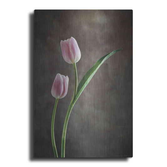 Luxe Metal Art 'Spring Tulips IV' by Debra Van Swearingen, Metal Wall Art