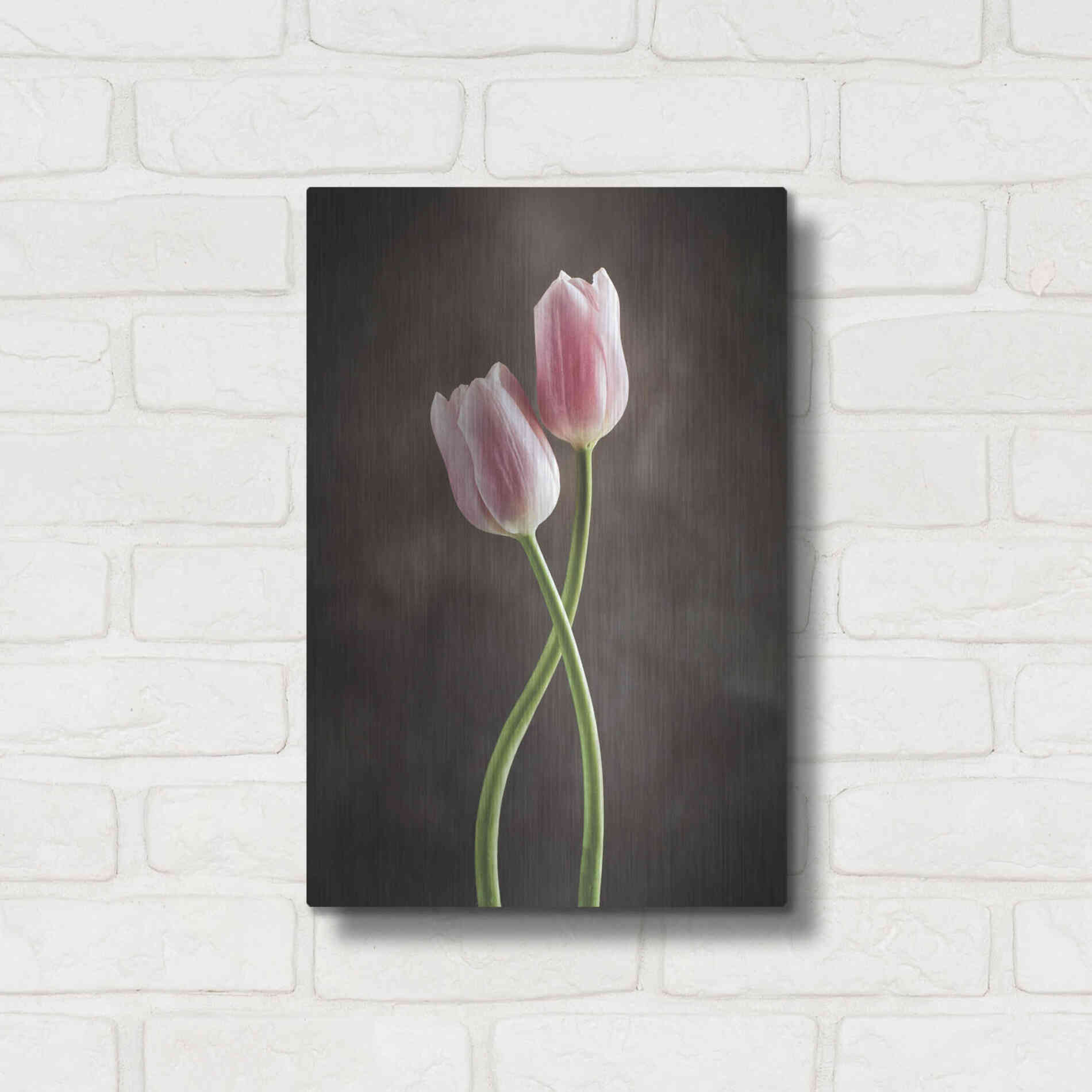 Luxe Metal Art 'Spring Tulips V' by Debra Van Swearingen, Metal Wall Art,12x16