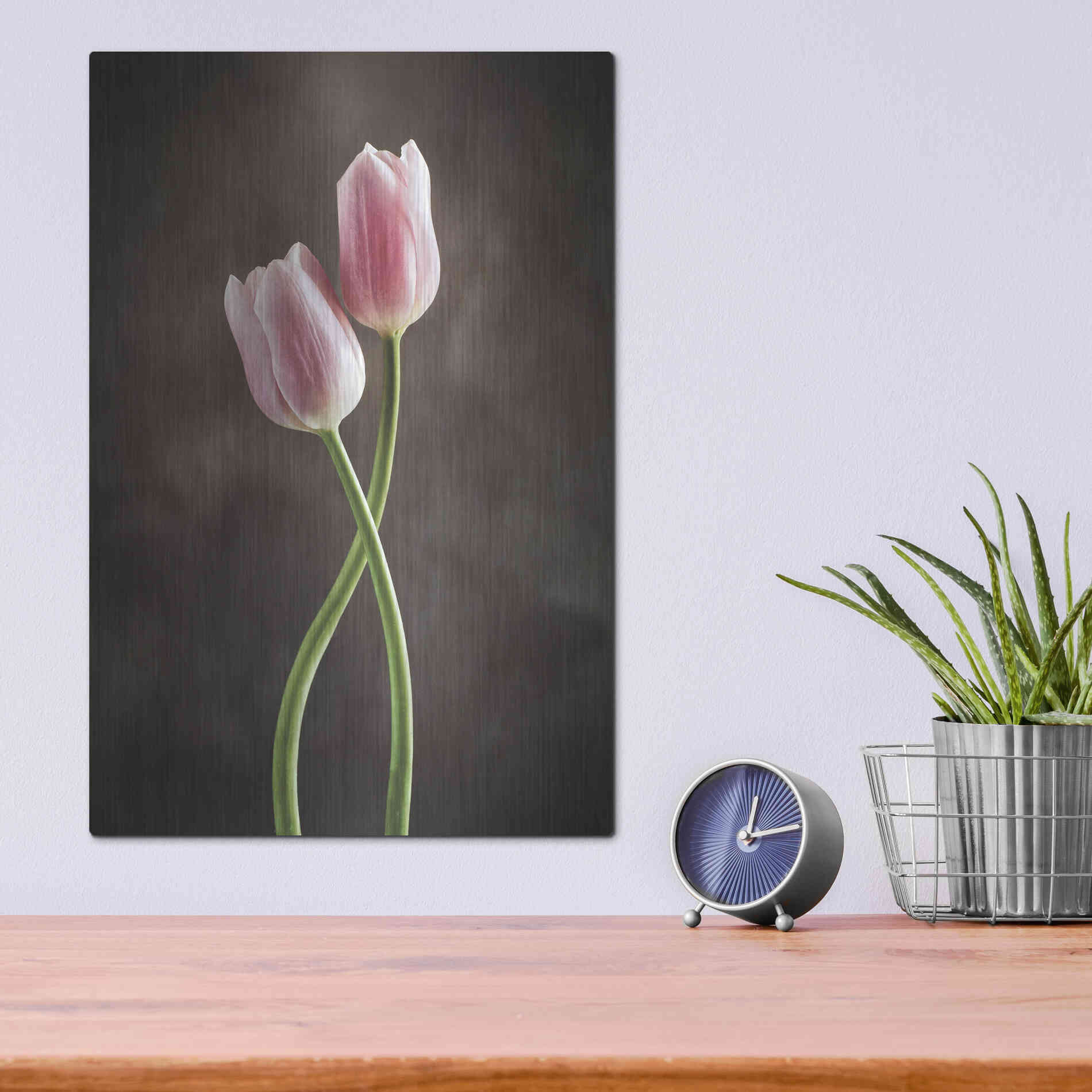 Luxe Metal Art 'Spring Tulips V' by Debra Van Swearingen, Metal Wall Art,12x16