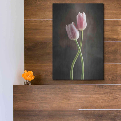 Luxe Metal Art 'Spring Tulips V' by Debra Van Swearingen, Metal Wall Art,12x16