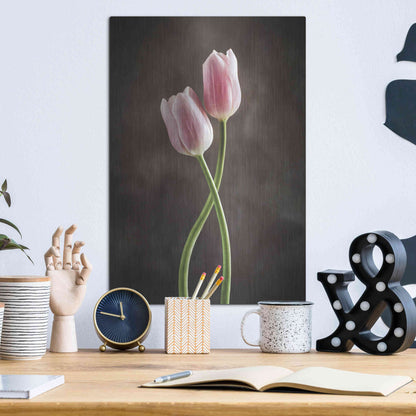 Luxe Metal Art 'Spring Tulips V' by Debra Van Swearingen, Metal Wall Art,12x16