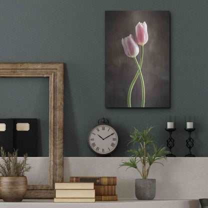 Luxe Metal Art 'Spring Tulips V' by Debra Van Swearingen, Metal Wall Art,12x16