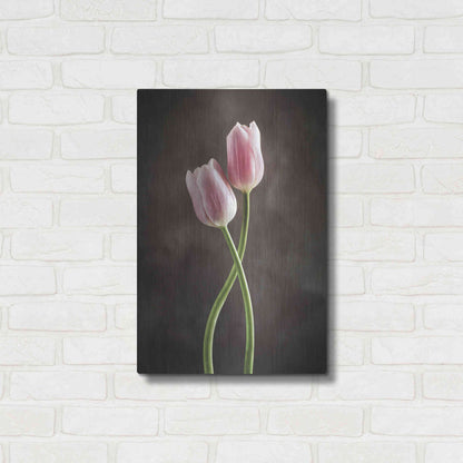 Luxe Metal Art 'Spring Tulips V' by Debra Van Swearingen, Metal Wall Art,16x24