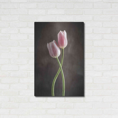 Luxe Metal Art 'Spring Tulips V' by Debra Van Swearingen, Metal Wall Art,24x36