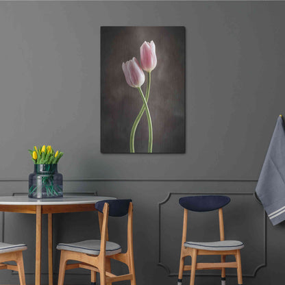 Luxe Metal Art 'Spring Tulips V' by Debra Van Swearingen, Metal Wall Art,24x36