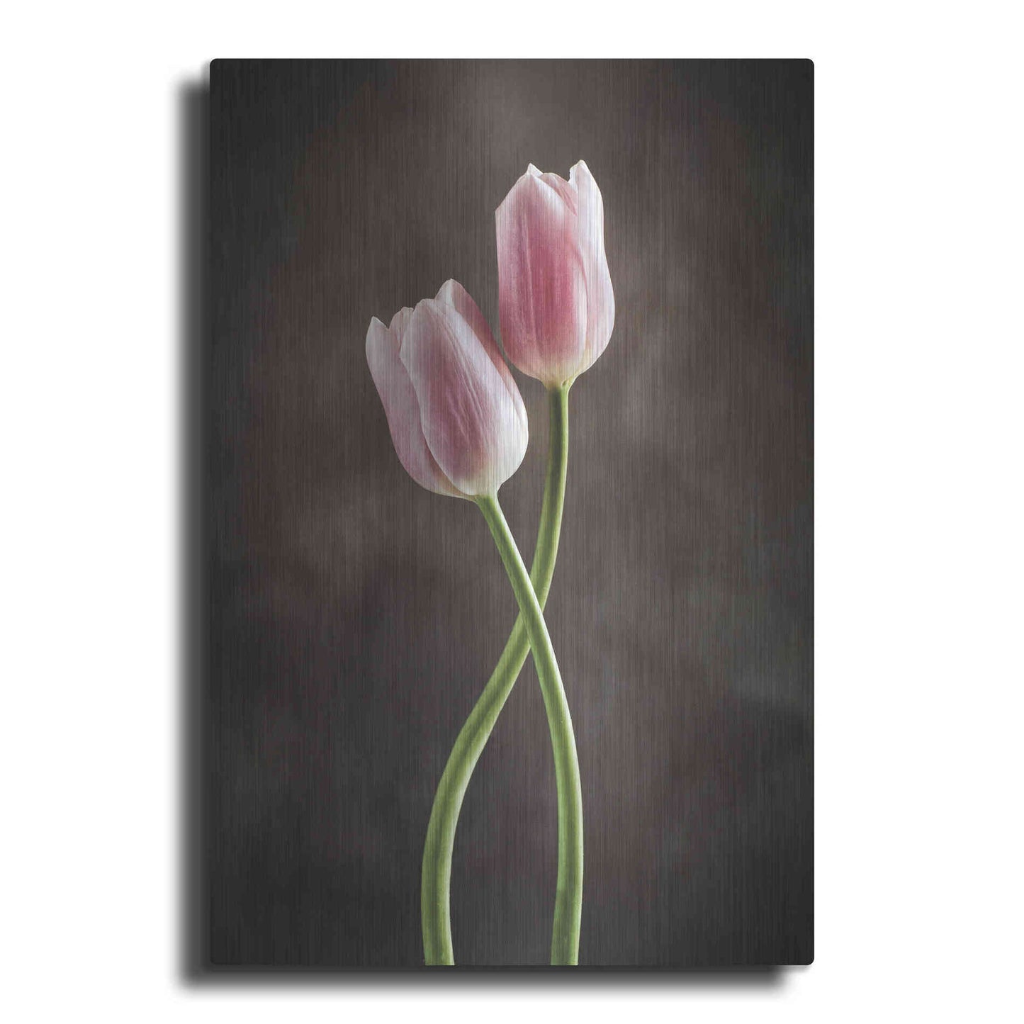 Luxe Metal Art 'Spring Tulips V' by Debra Van Swearingen, Metal Wall Art