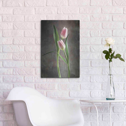 Luxe Metal Art 'Spring Tulips VI' by Debra Van Swearingen, Metal Wall Art,16x24