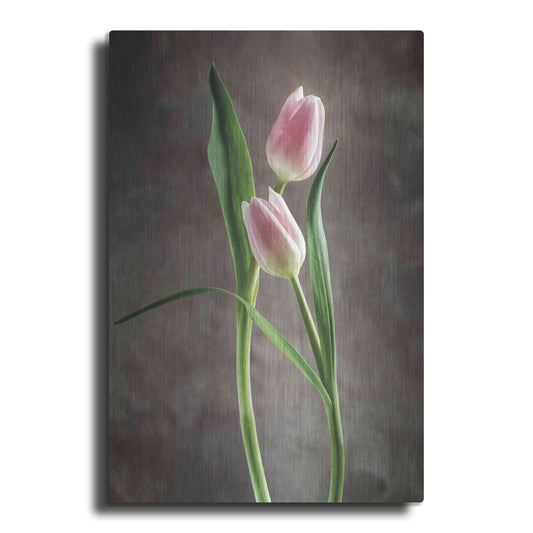 Luxe Metal Art 'Spring Tulips VI' by Debra Van Swearingen, Metal Wall Art