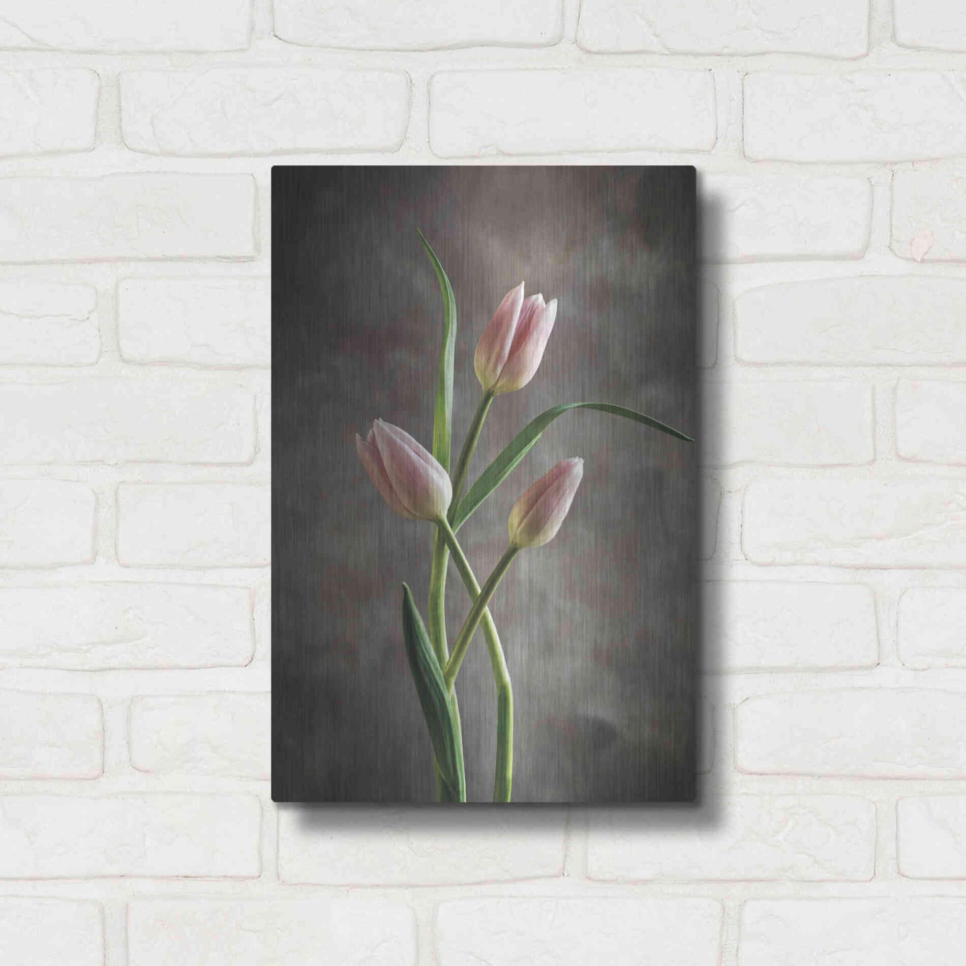 Luxe Metal Art 'Spring Tulips VII' by Debra Van Swearingen, Metal Wall Art,12x16