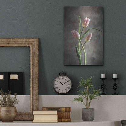 Luxe Metal Art 'Spring Tulips VII' by Debra Van Swearingen, Metal Wall Art,12x16