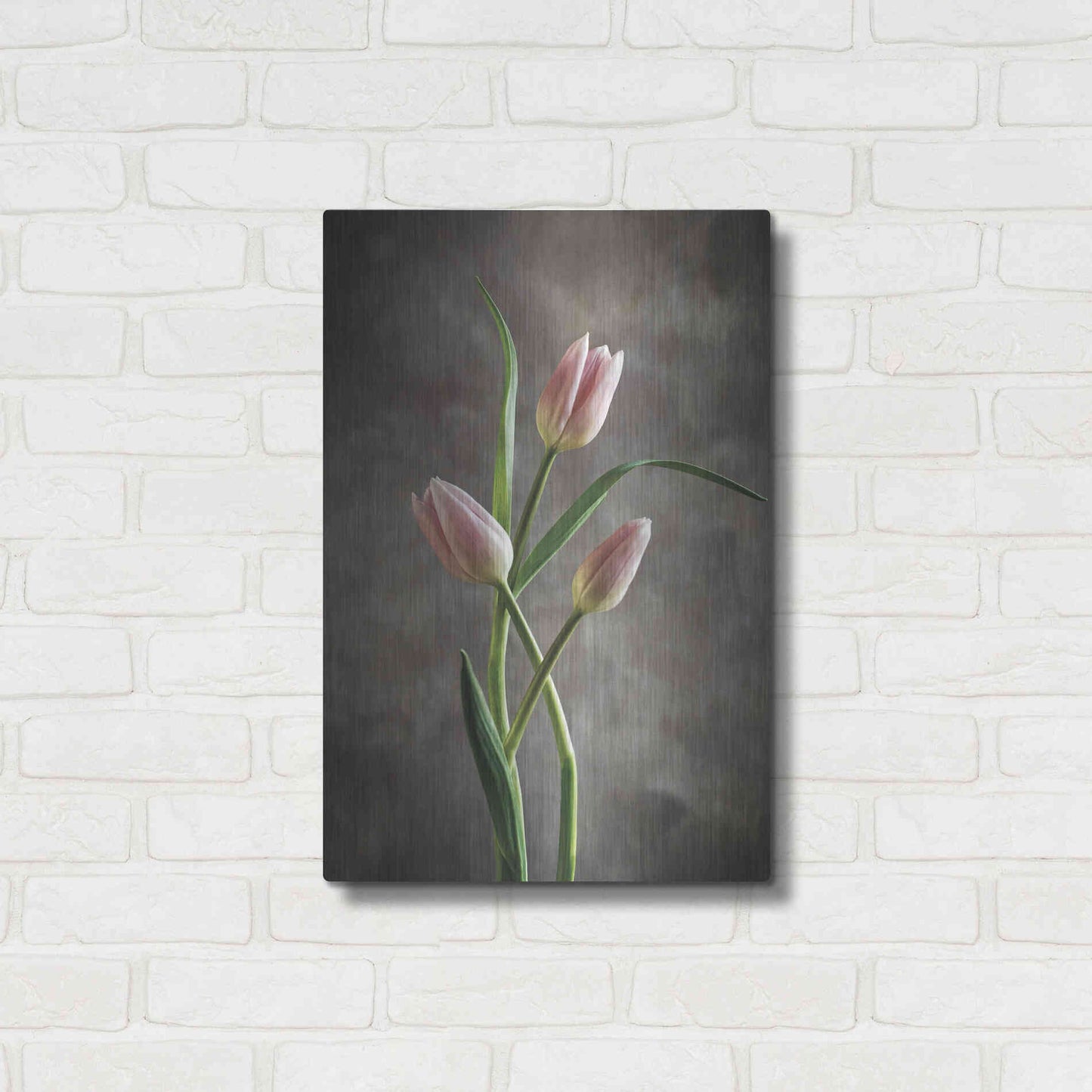 Luxe Metal Art 'Spring Tulips VII' by Debra Van Swearingen, Metal Wall Art,16x24