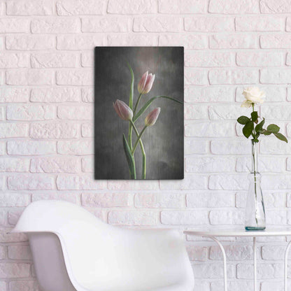 Luxe Metal Art 'Spring Tulips VII' by Debra Van Swearingen, Metal Wall Art,16x24