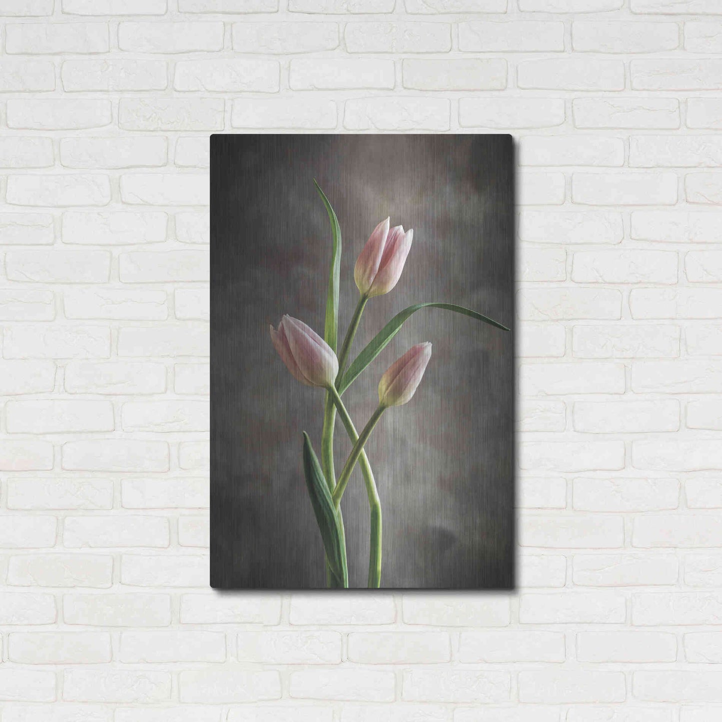 Luxe Metal Art 'Spring Tulips VII' by Debra Van Swearingen, Metal Wall Art,24x36