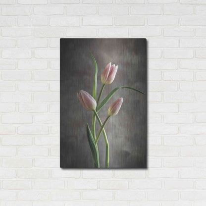 Luxe Metal Art 'Spring Tulips VII' by Debra Van Swearingen, Metal Wall Art,24x36