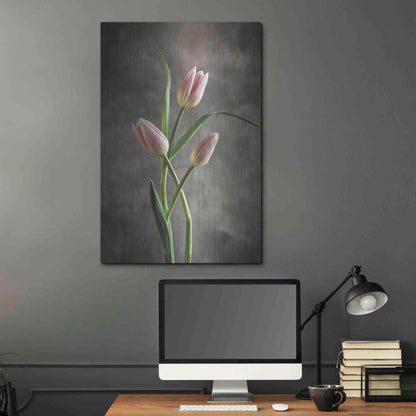 Luxe Metal Art 'Spring Tulips VII' by Debra Van Swearingen, Metal Wall Art,24x36