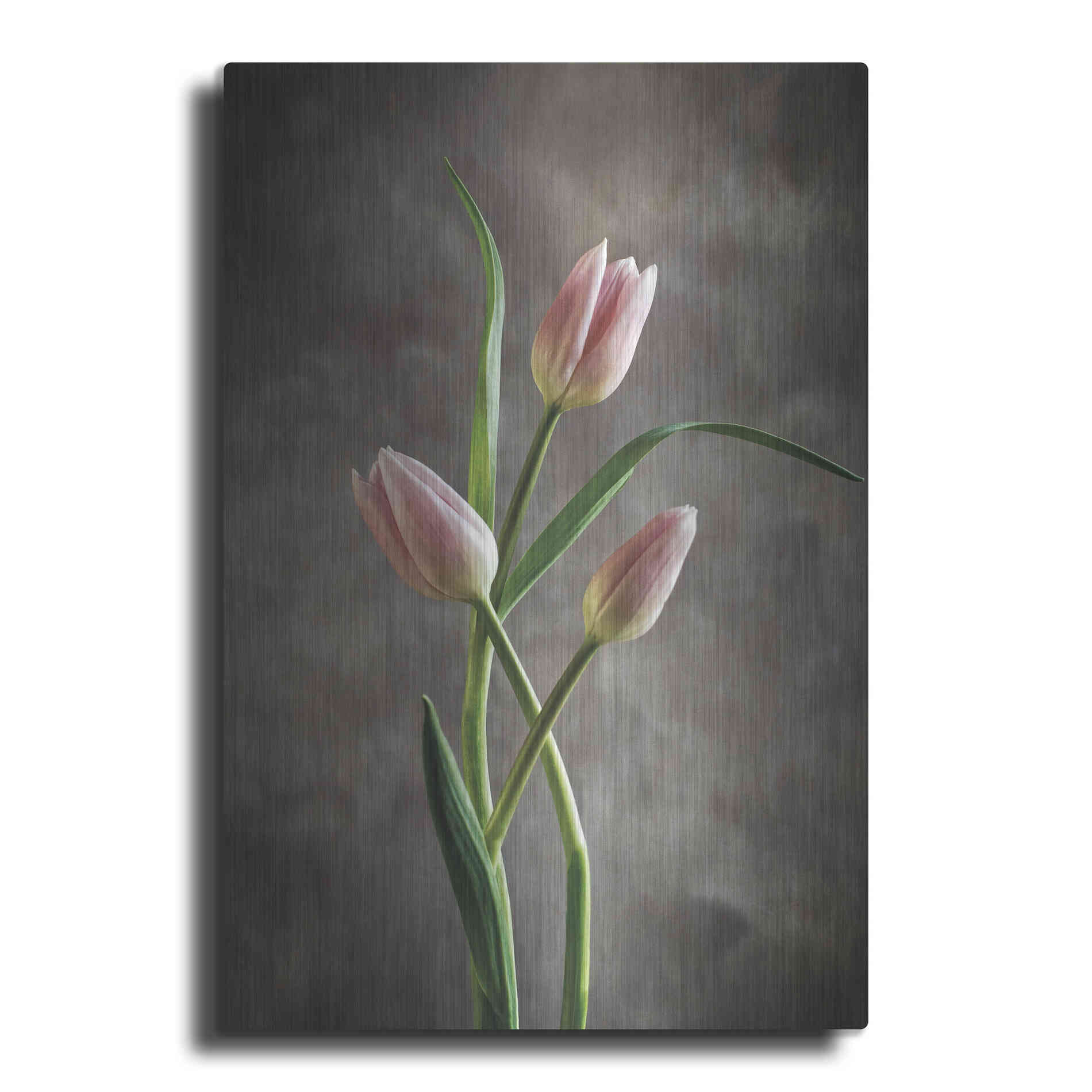 Luxe Metal Art 'Spring Tulips VII' by Debra Van Swearingen, Metal Wall Art