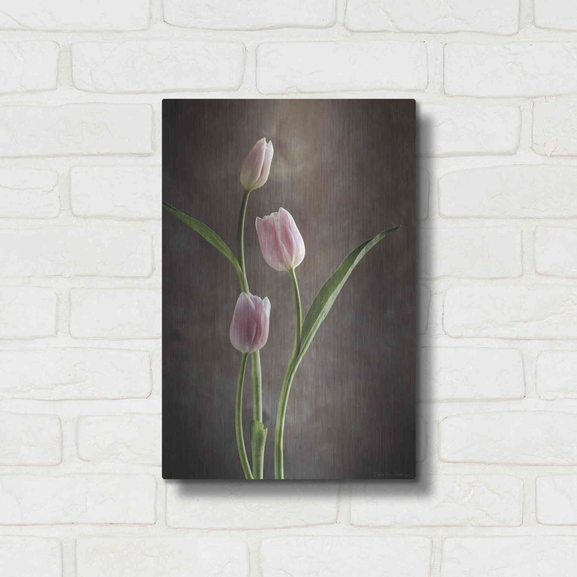 Luxe Metal Art 'Spring Tulips VIII' by Debra Van Swearingen, Metal Wall Art,12x16