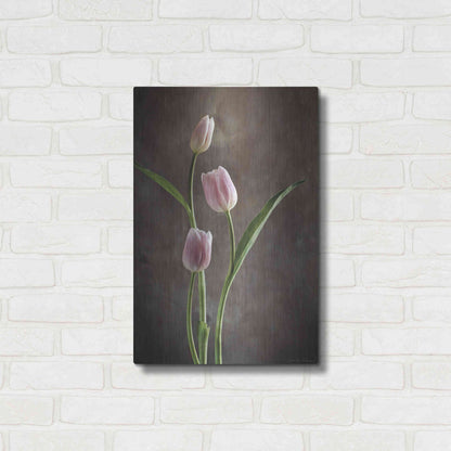 Luxe Metal Art 'Spring Tulips VIII' by Debra Van Swearingen, Metal Wall Art,16x24