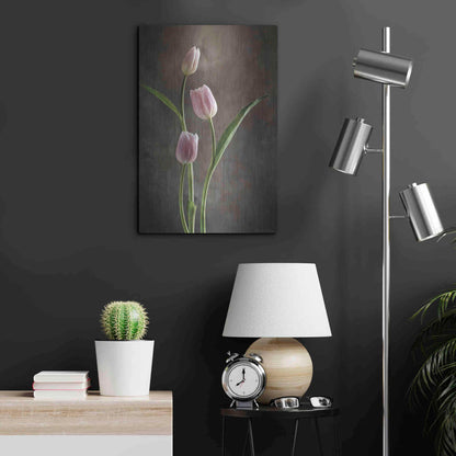 Luxe Metal Art 'Spring Tulips VIII' by Debra Van Swearingen, Metal Wall Art,16x24