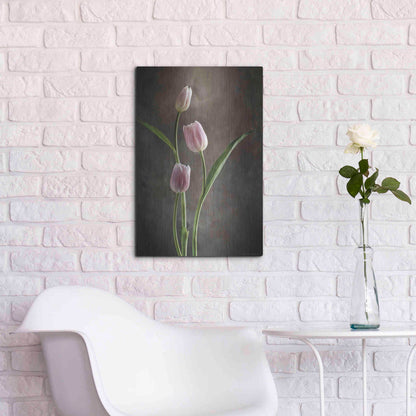 Luxe Metal Art 'Spring Tulips VIII' by Debra Van Swearingen, Metal Wall Art,16x24