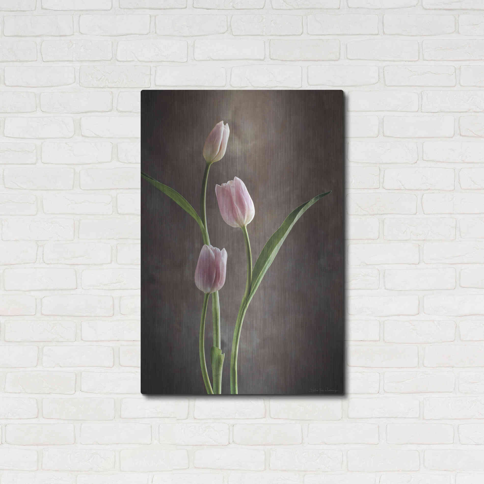 Luxe Metal Art 'Spring Tulips VIII' by Debra Van Swearingen, Metal Wall Art,24x36