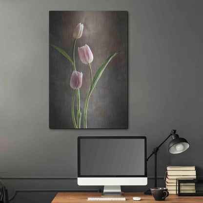 Luxe Metal Art 'Spring Tulips VIII' by Debra Van Swearingen, Metal Wall Art,24x36