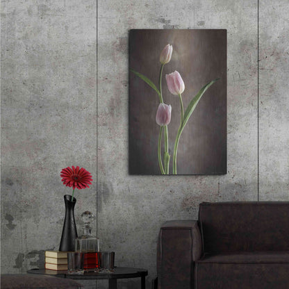 Luxe Metal Art 'Spring Tulips VIII' by Debra Van Swearingen, Metal Wall Art,24x36