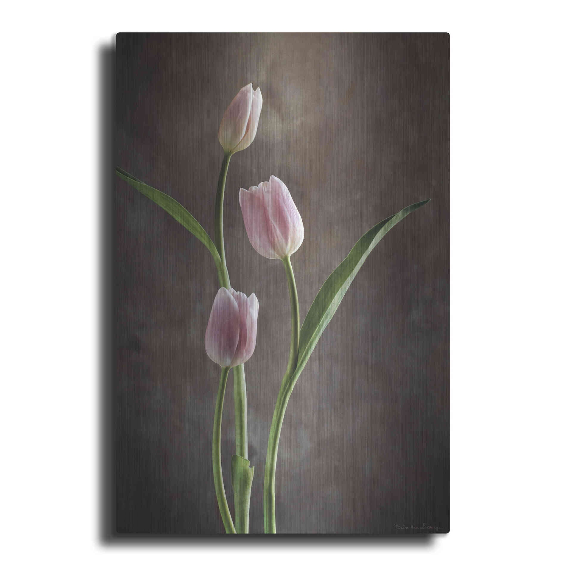 Luxe Metal Art 'Spring Tulips VIII' by Debra Van Swearingen, Metal Wall Art