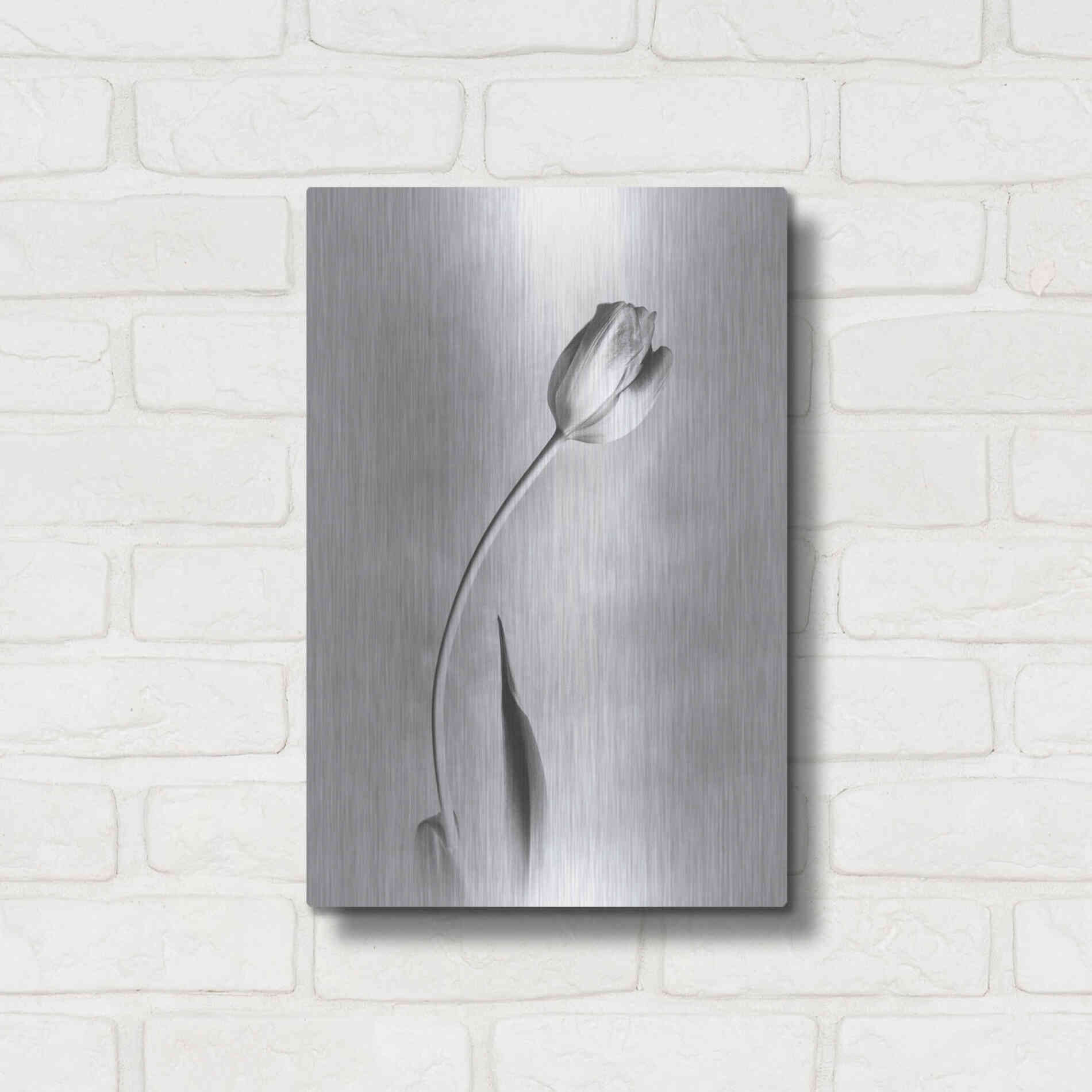 Luxe Metal Art 'Soft Tulips I' by Debra Van Swearingen, Metal Wall Art,12x16