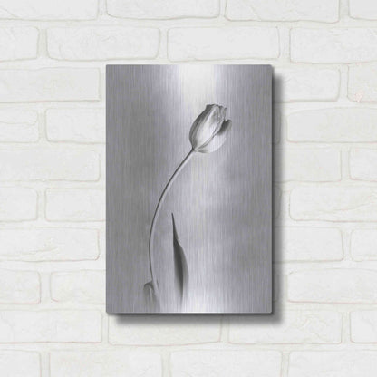 Luxe Metal Art 'Soft Tulips I' by Debra Van Swearingen, Metal Wall Art,12x16