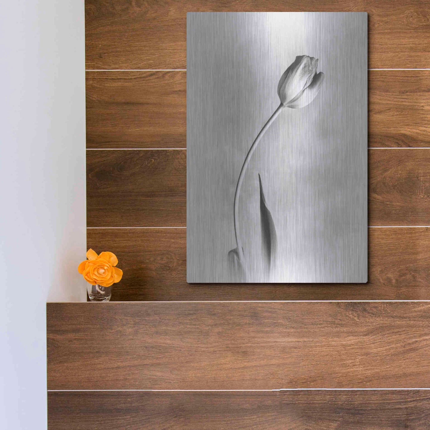 Luxe Metal Art 'Soft Tulips I' by Debra Van Swearingen, Metal Wall Art,12x16