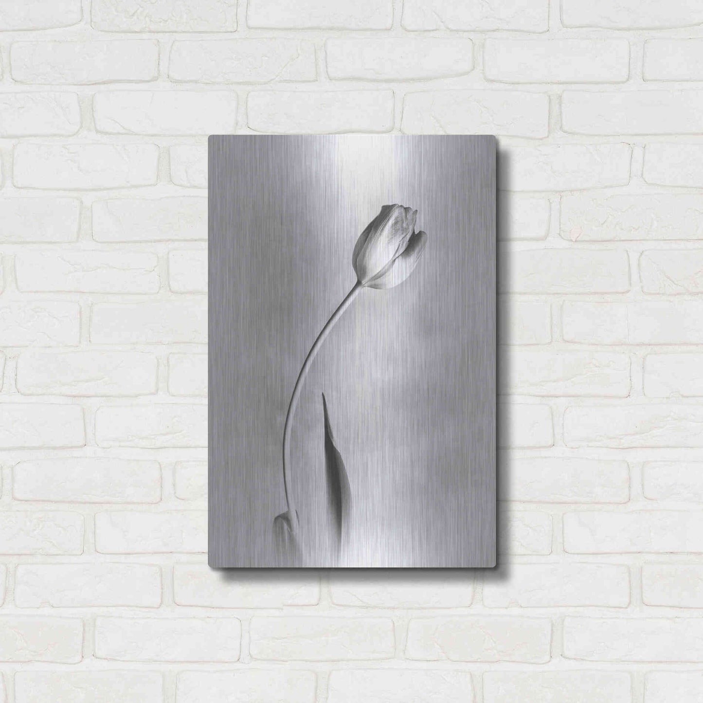 Luxe Metal Art 'Soft Tulips I' by Debra Van Swearingen, Metal Wall Art,16x24