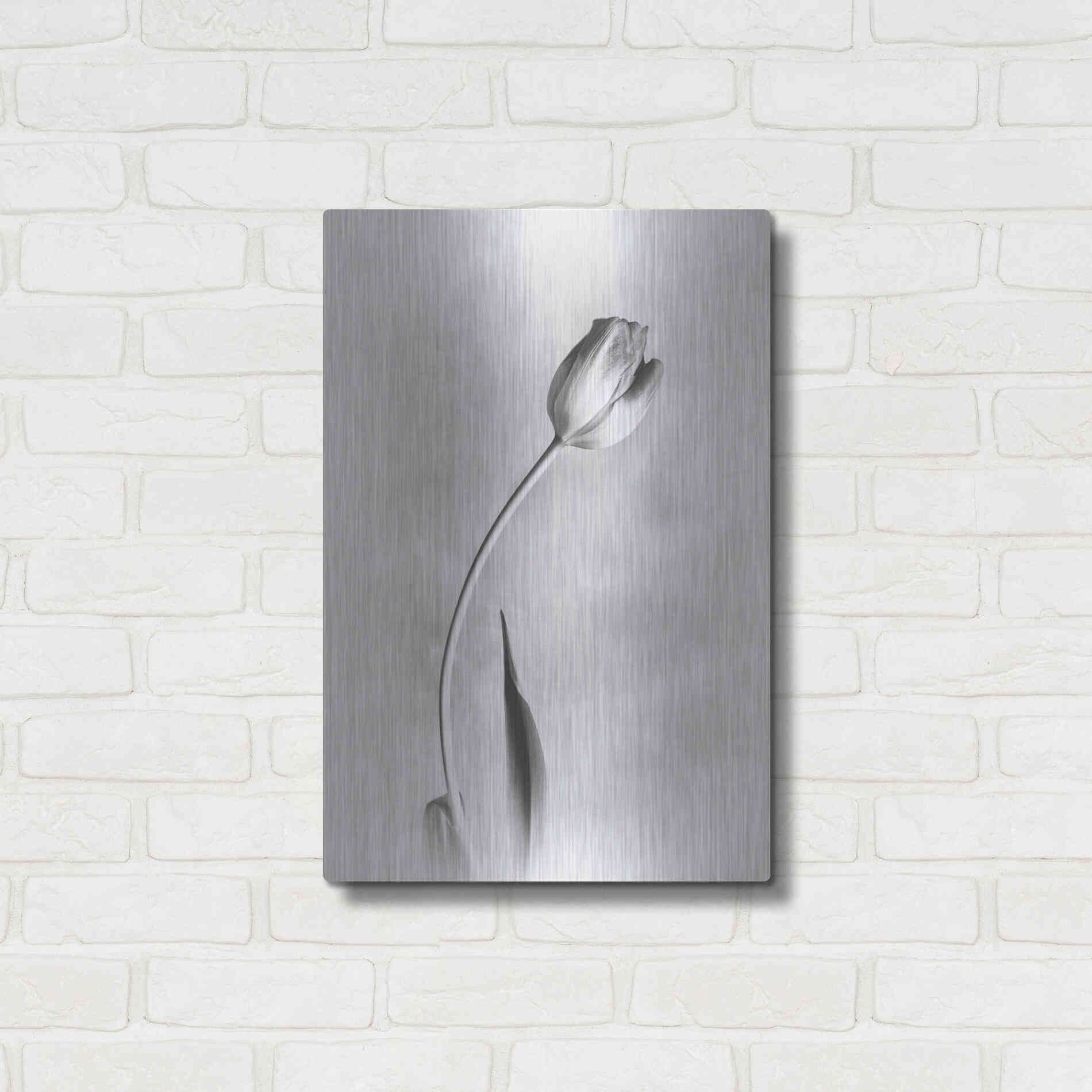 Luxe Metal Art 'Soft Tulips I' by Debra Van Swearingen, Metal Wall Art,16x24