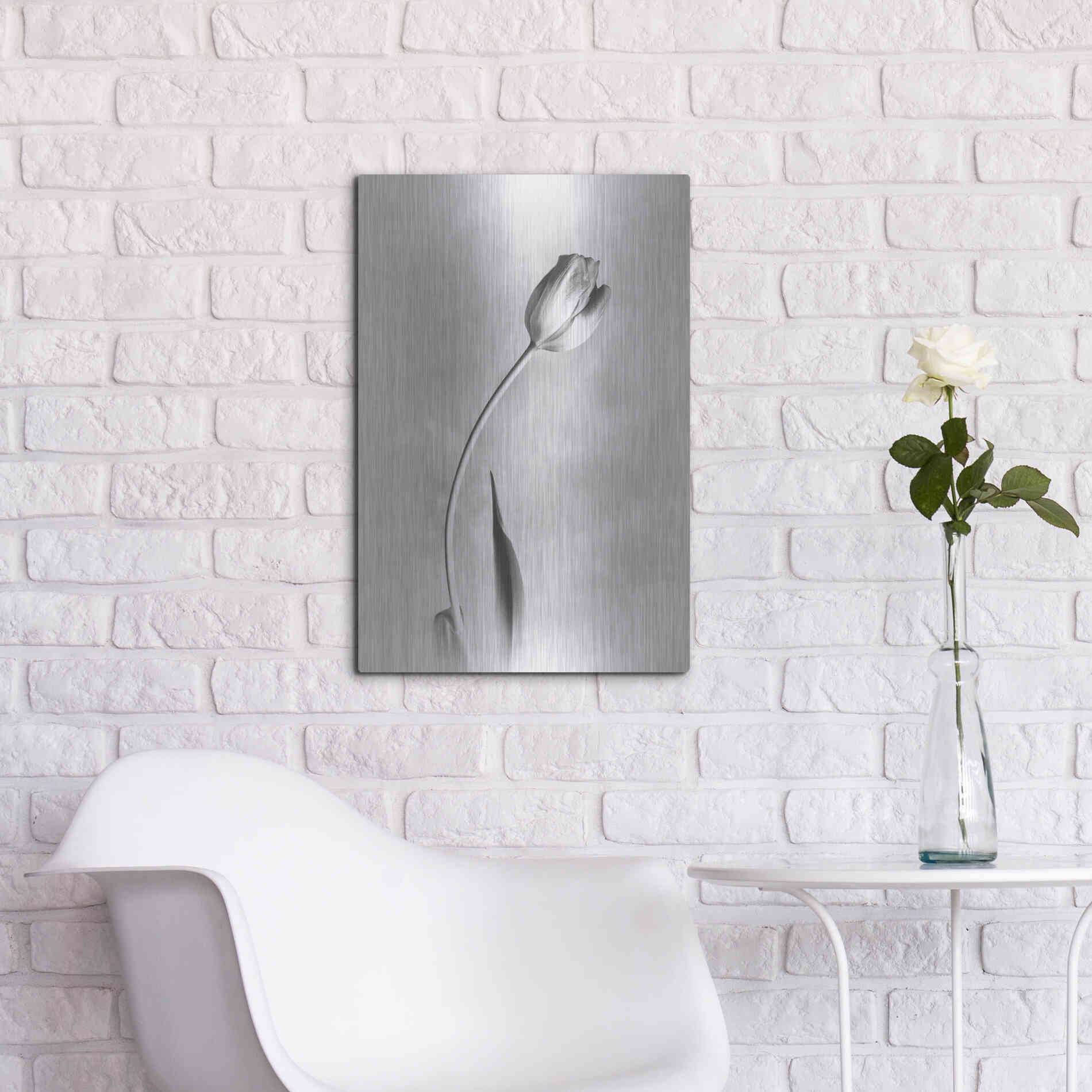 Luxe Metal Art 'Soft Tulips I' by Debra Van Swearingen, Metal Wall Art,16x24