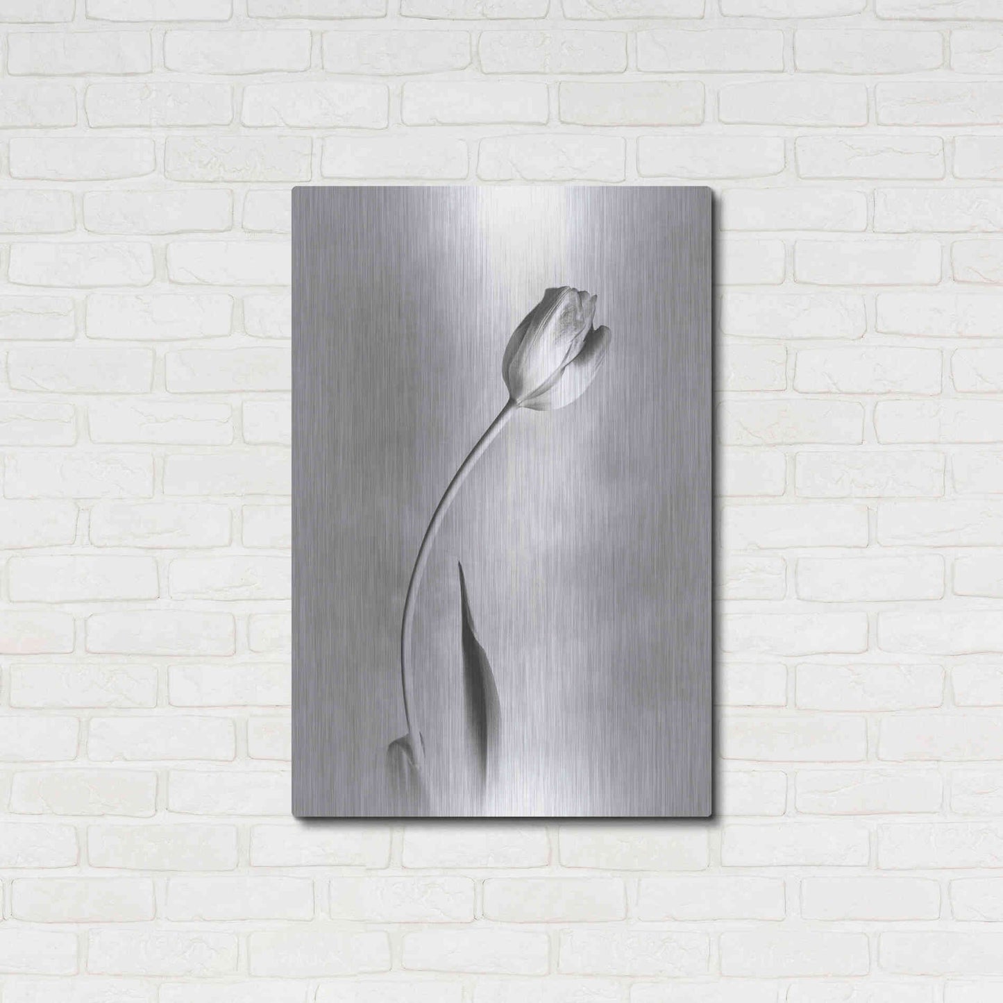 Luxe Metal Art 'Soft Tulips I' by Debra Van Swearingen, Metal Wall Art,24x36