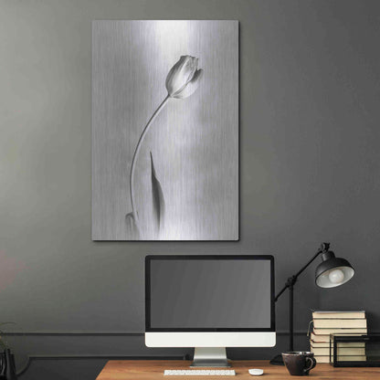 Luxe Metal Art 'Soft Tulips I' by Debra Van Swearingen, Metal Wall Art,24x36