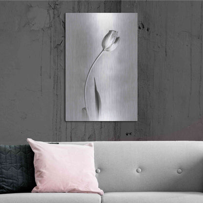 Luxe Metal Art 'Soft Tulips I' by Debra Van Swearingen, Metal Wall Art,24x36